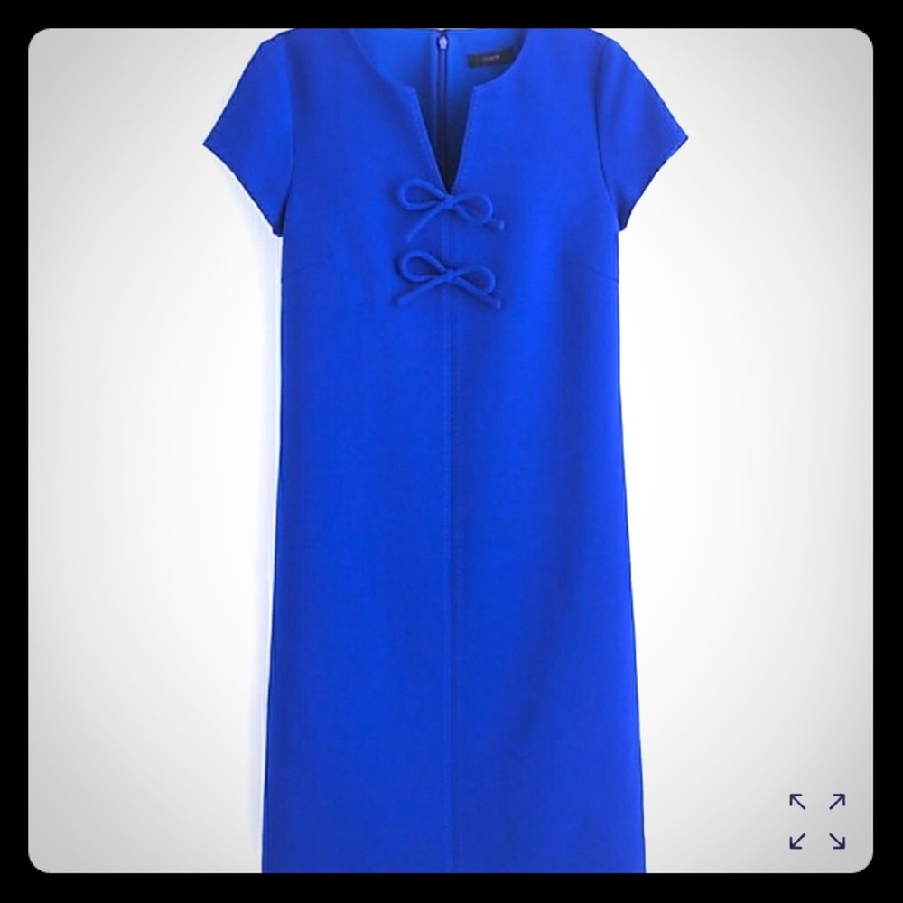 Adorable J Crew Presentation Dress